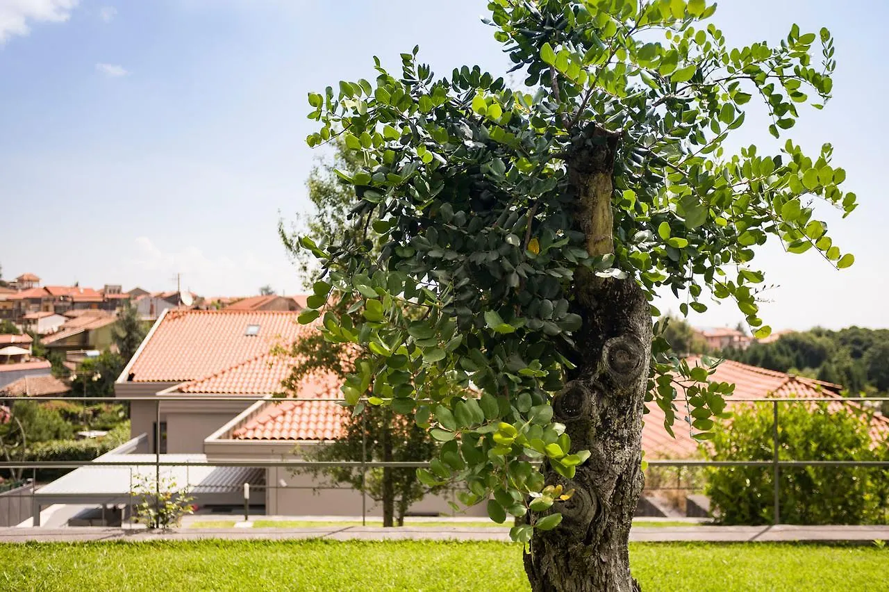 *** Frühstückspension B&B Etna Dream Zafferana Etnea Italien
